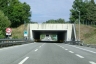 Tunnel de Tiro a segno