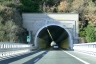 Tunnel de Vaneusa