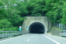 Tunnel Vapea