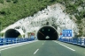Tunnel du Pino