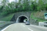 Tunnel de Fondega