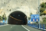 Tunnel Marchante