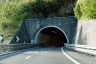 Prodonno Tunnel