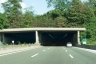 Dorbié Tunnel