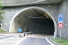 Tunnel de Soliwald