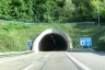 Tunnel du Nollinger Berg