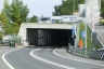 Sachseln Tunnel