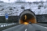 Tunnel Pellinger Berg
