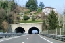 Villa Maria Tunnel