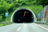 Criblette Tunnel