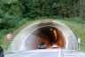 Tunnel Brettfall