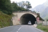 Tunnel Dristenschlag-Melkstein