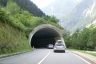 Tunnel Saustein
