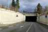 Tunnel de Wiesen