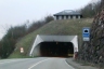 Wattkopf Tunnel