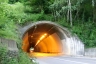 Campolungo Tunnel