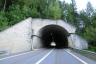 Bachwald Tunnel