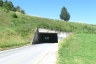 Blitzingen Road Tunnel