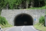 Tunnel de Standeltal