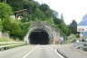 Tellsplatte Tunnel