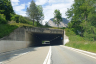 La Douay II Tunnel