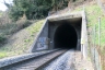 Bellinzona-Locarno Railroad Line