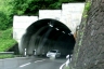 Verzasca 1 Tunnel