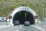 Anilio Tunnel