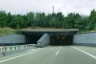 Tunnel du Reinertshof