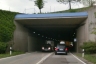 Tunnel du Diepoldsberg