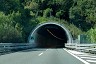 Pecorile Tunnel