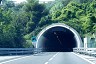 Tunnel Siri