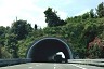 Terrarossa 1 Tunnel