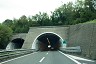 Del Forno Tunnel