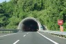 Roviano Tunnel