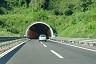 Stonio-Tunnel