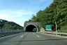 Tunnel de Curli