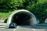 Tunnel Manfreida
