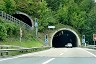 Tunnel de Murgwald