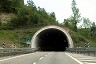 Tunnel de Pallariere