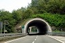 Zemola II Tunnel