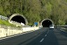 Corenno Tunnel