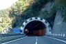 Tunnel de Genico