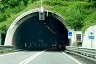 Covelo Tunnel