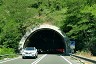 Triponzo Tunnel