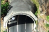 Pestana Junior Tunnel