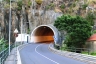 Ribeira Brava Bypass Tunnel