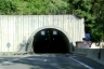 Tunnel de Castellar