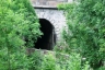 Tunnel de Cagnolina
