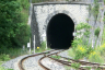 Tunnel de Coalongia